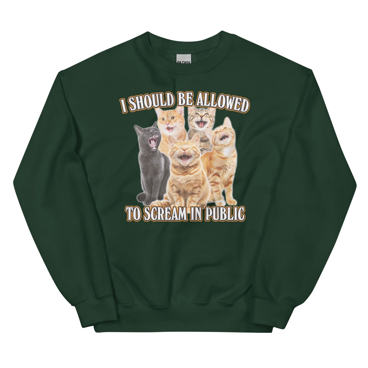 Allowed to Scream in Public Unisex Sweatshirt