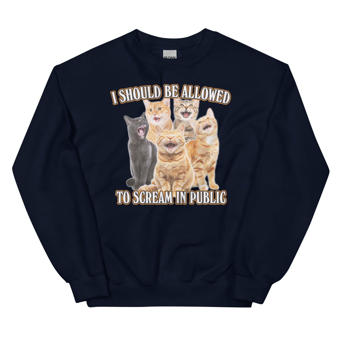 Allowed to Scream in Public Unisex Sweatshirt