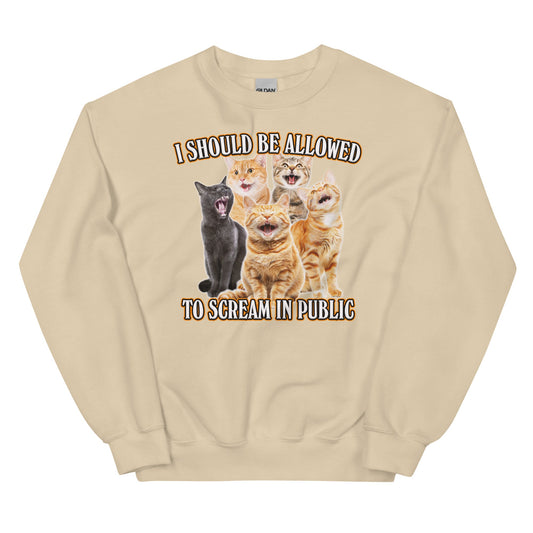 Allowed to Scream in Public Unisex Sweatshirt