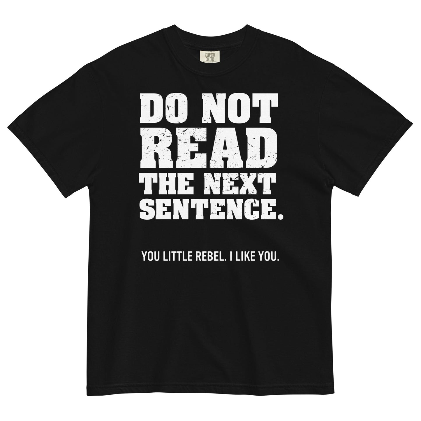 Do Not Read The Next Sentence. Men's Relaxed Fit Tee