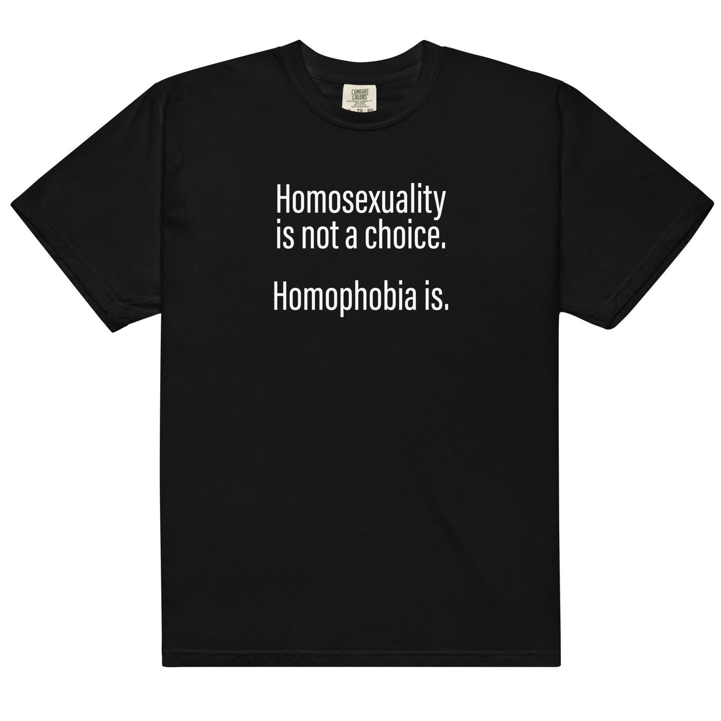 Homosexuality is Not a Choice Unisex t-shirt