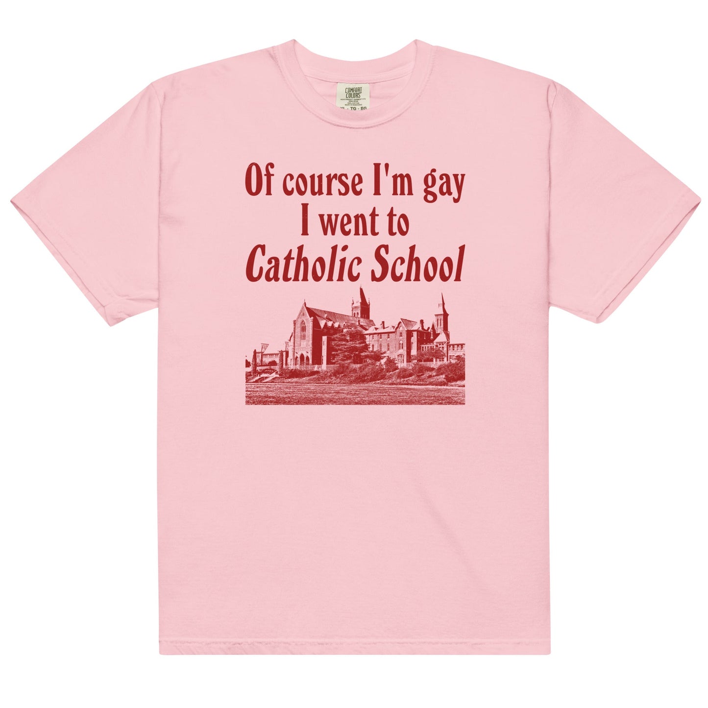 I Went to Catholic School Unisex t-shirt