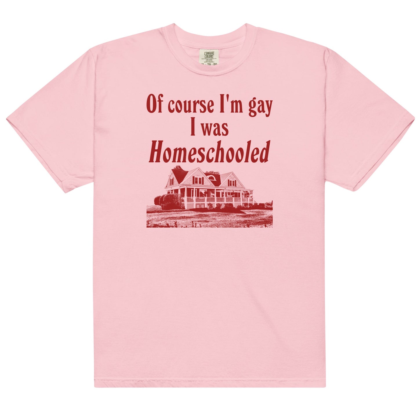 I Was Homeschooled Unisex t-shirt