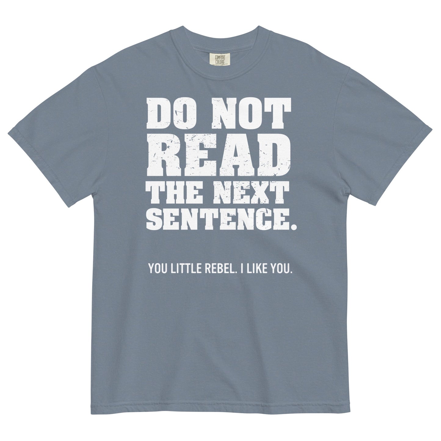 Do Not Read The Next Sentence. Men's Relaxed Fit Tee