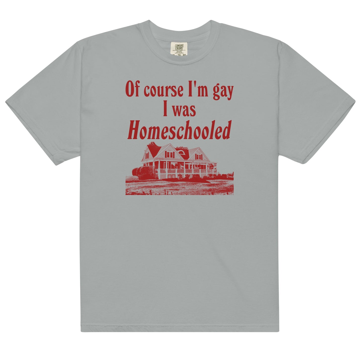 I Was Homeschooled Unisex t-shirt