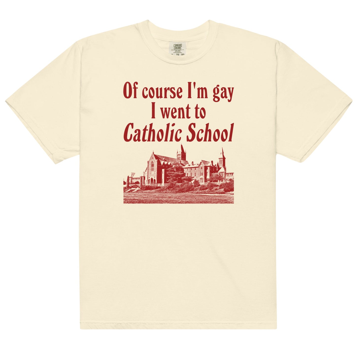 I Went to Catholic School Unisex t-shirt