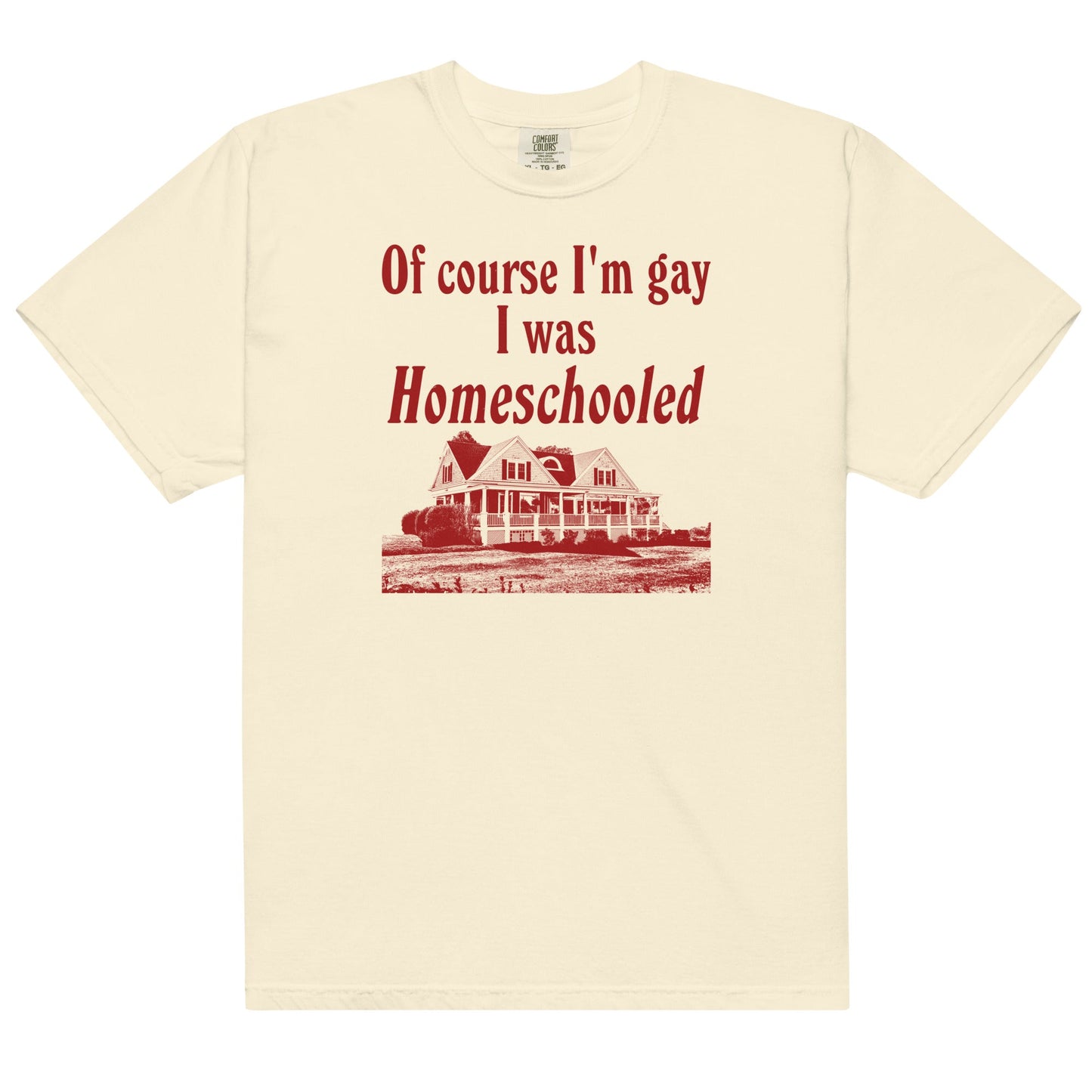 I Was Homeschooled Unisex t-shirt