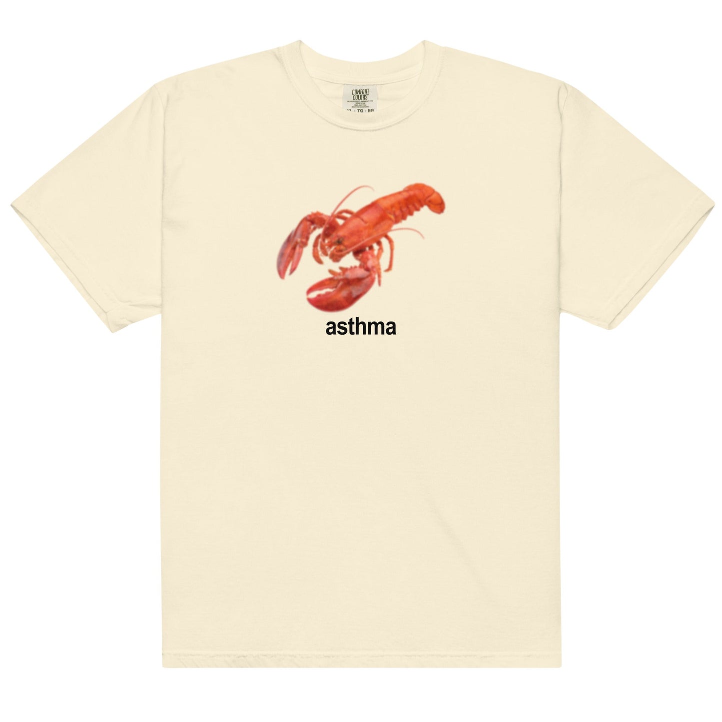 Asthma Unisex t-shirt