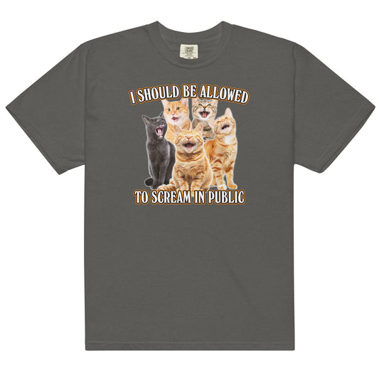 Allowed to Scream in Public Unisex t-shirt