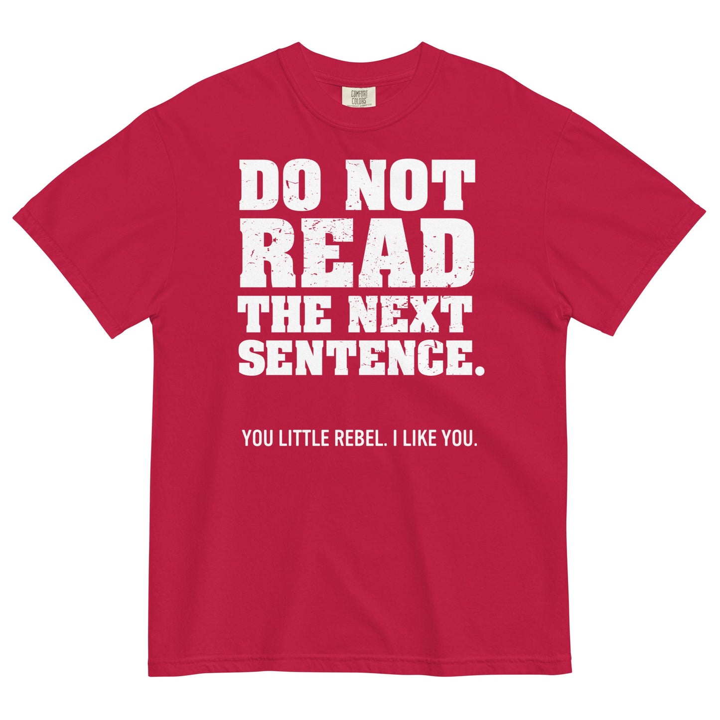 Do Not Read The Next Sentence. Men's Relaxed Fit Tee