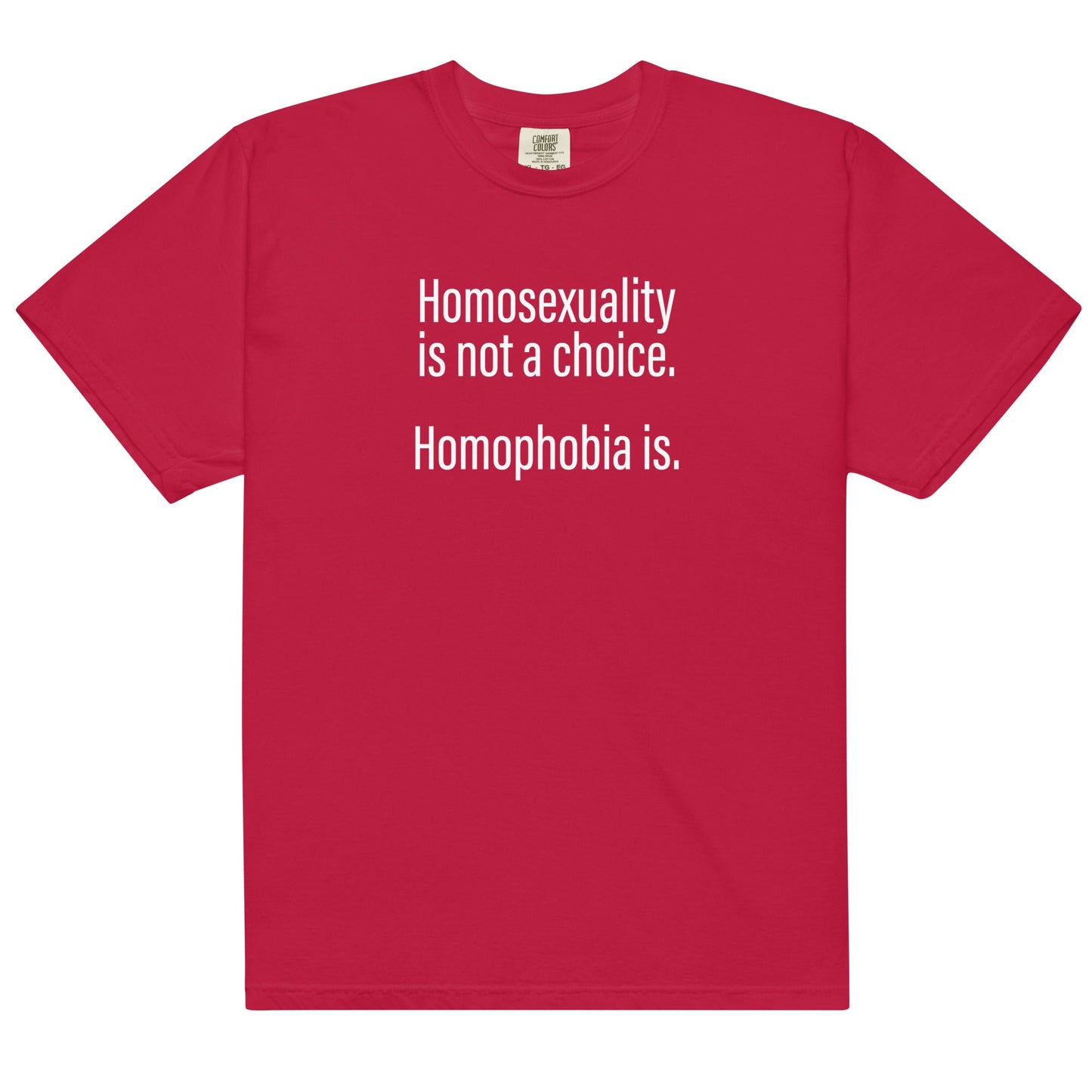 Homosexuality is Not a Choice Unisex t-shirt
