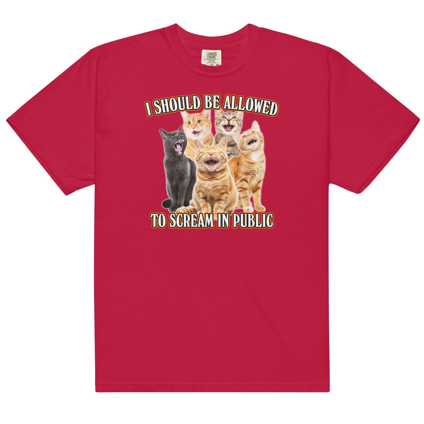 Allowed to Scream in Public Unisex t-shirt
