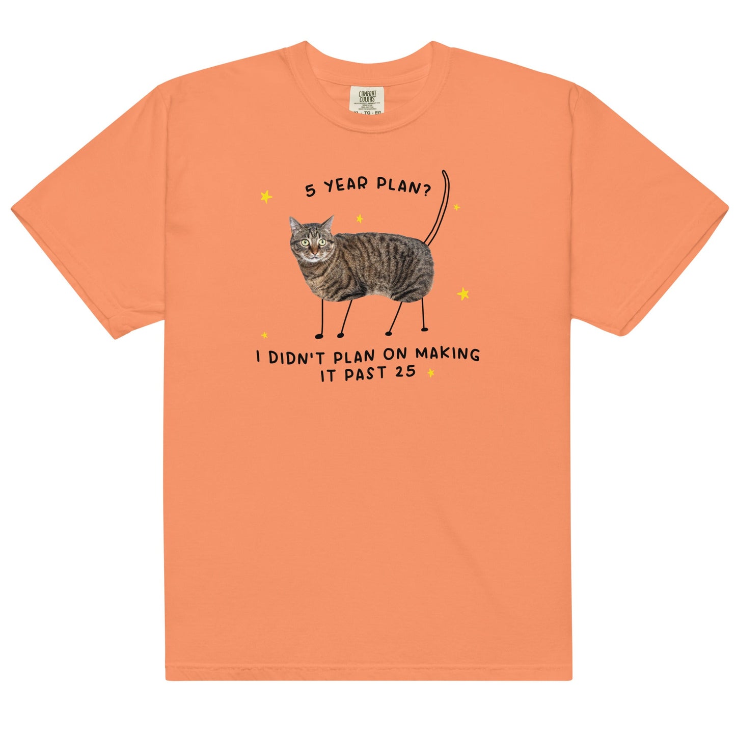 5 Year Plan Unisex t-shirt