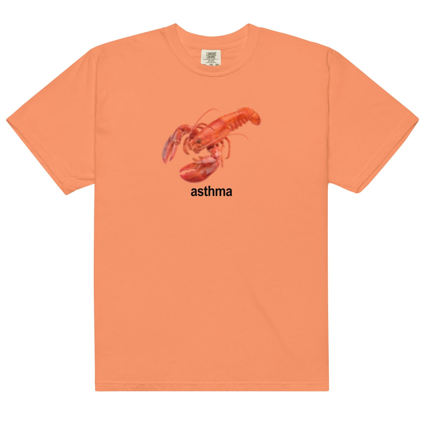 Asthma Unisex t-shirt