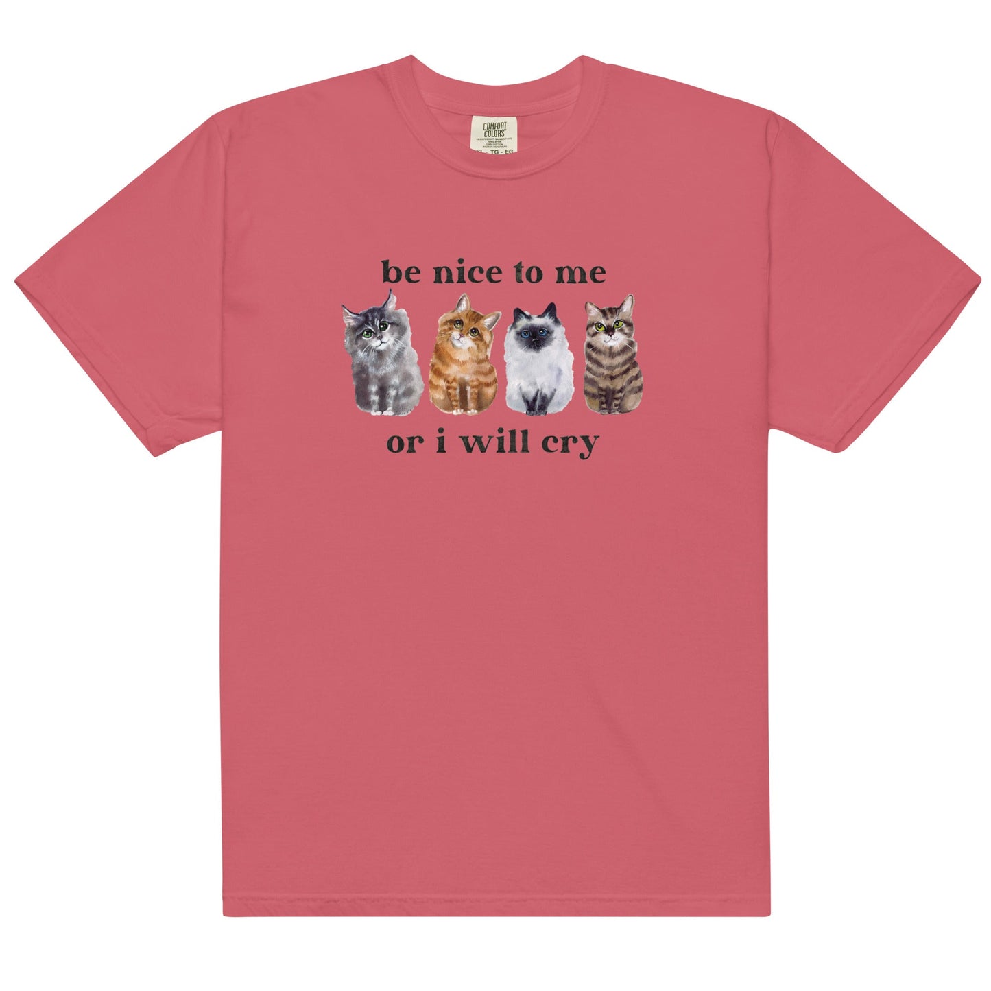 Be Nice to Me Or I Will Cry Unisex t-shirt