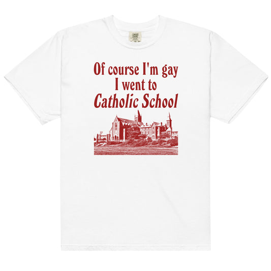 I Went to Catholic School Unisex t-shirt