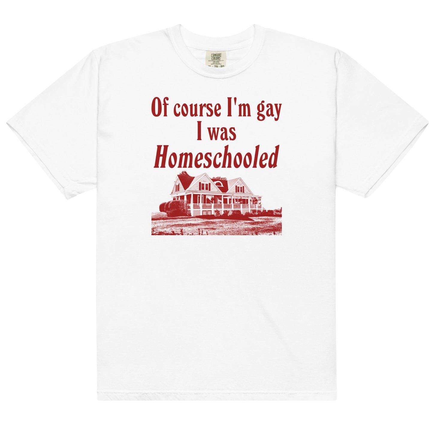 I Was Homeschooled Unisex t-shirt