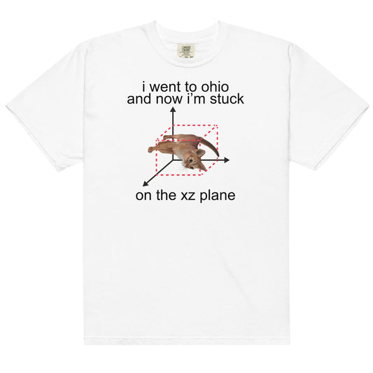 Stuck on the XZ Plane Unisex t-shirt