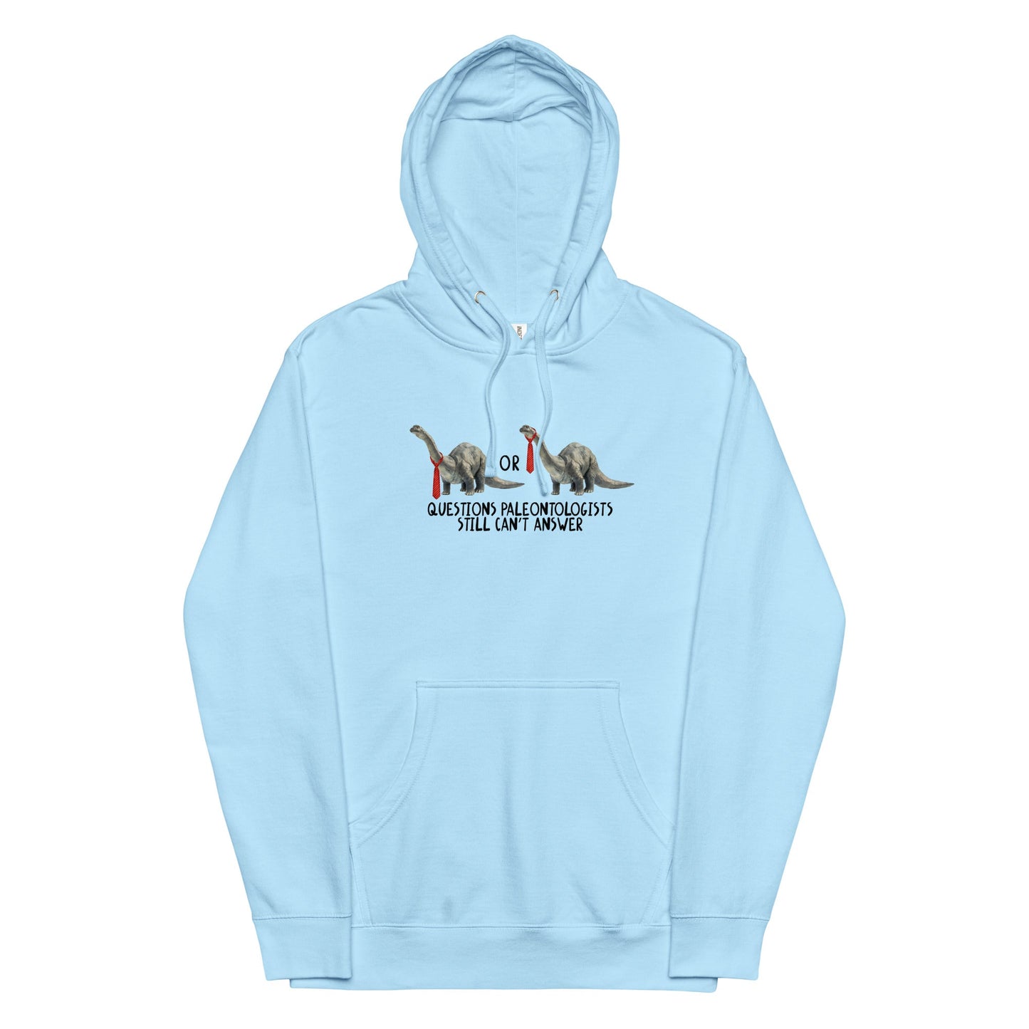 Questions Paleontologists Still Canâ€™t Answer Unisex hoodie