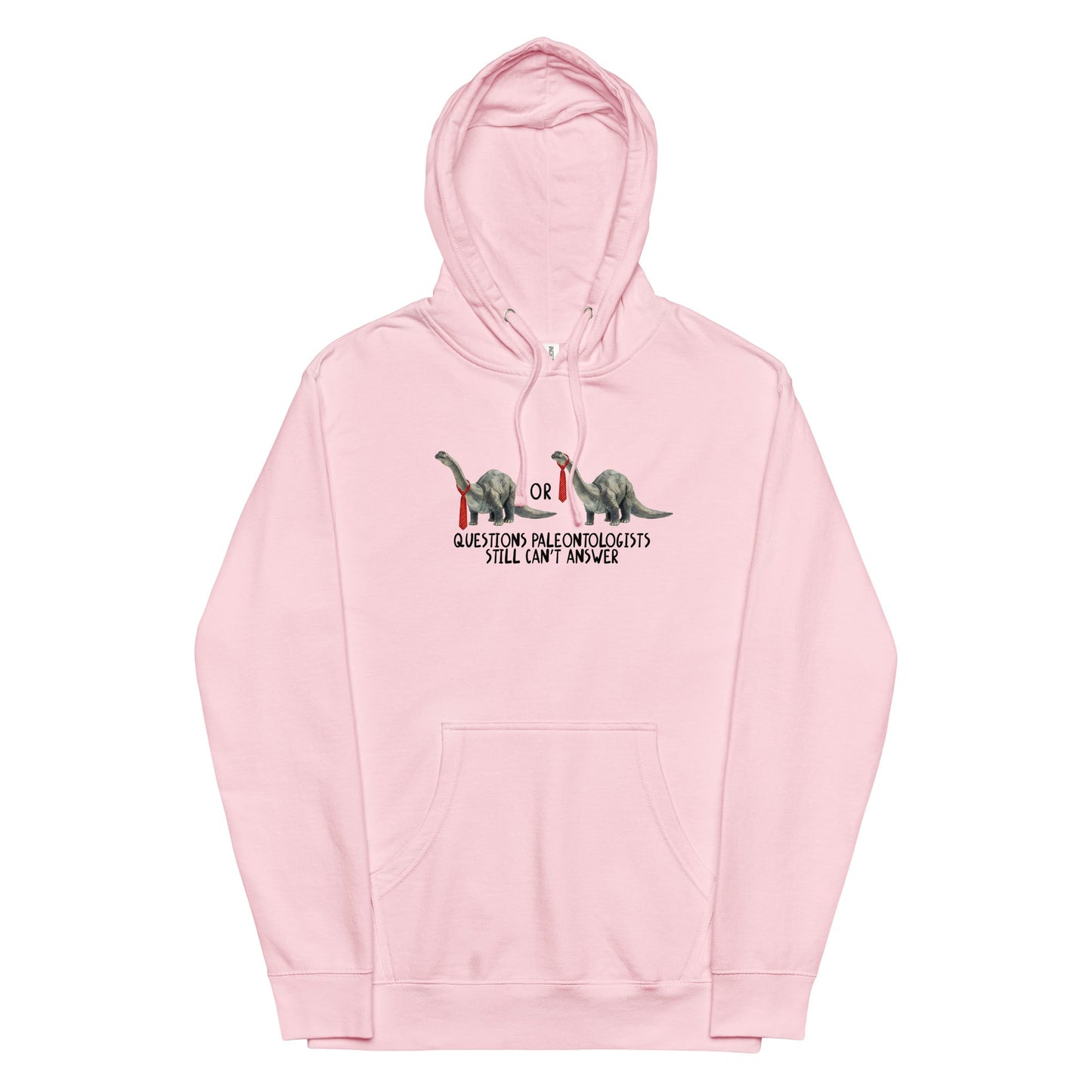 Questions Paleontologists Still Canâ€™t Answer Unisex hoodie