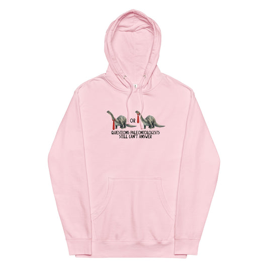 Questions Paleontologists Still Canâ€™t Answer Unisex hoodie