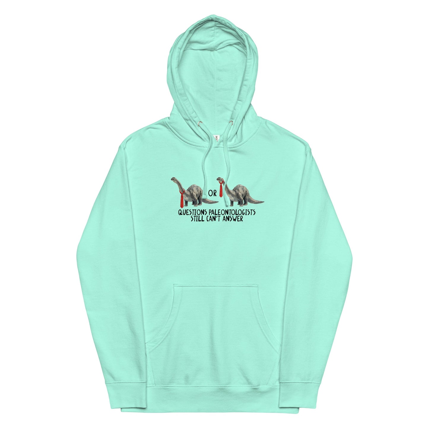 Questions Paleontologists Still Canâ€™t Answer Unisex hoodie