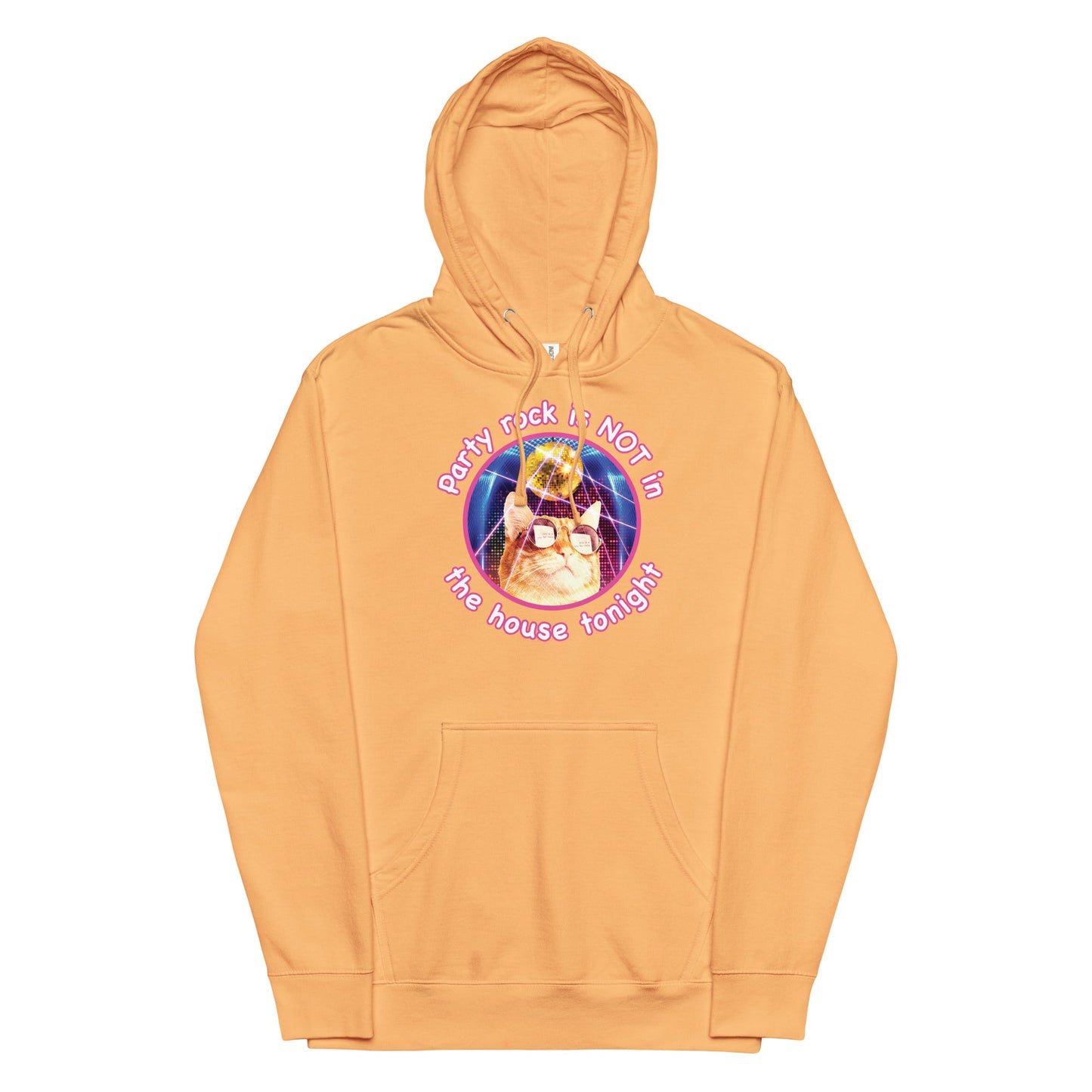 Party Rock is NOT in the House Tonight Unisex hoodie