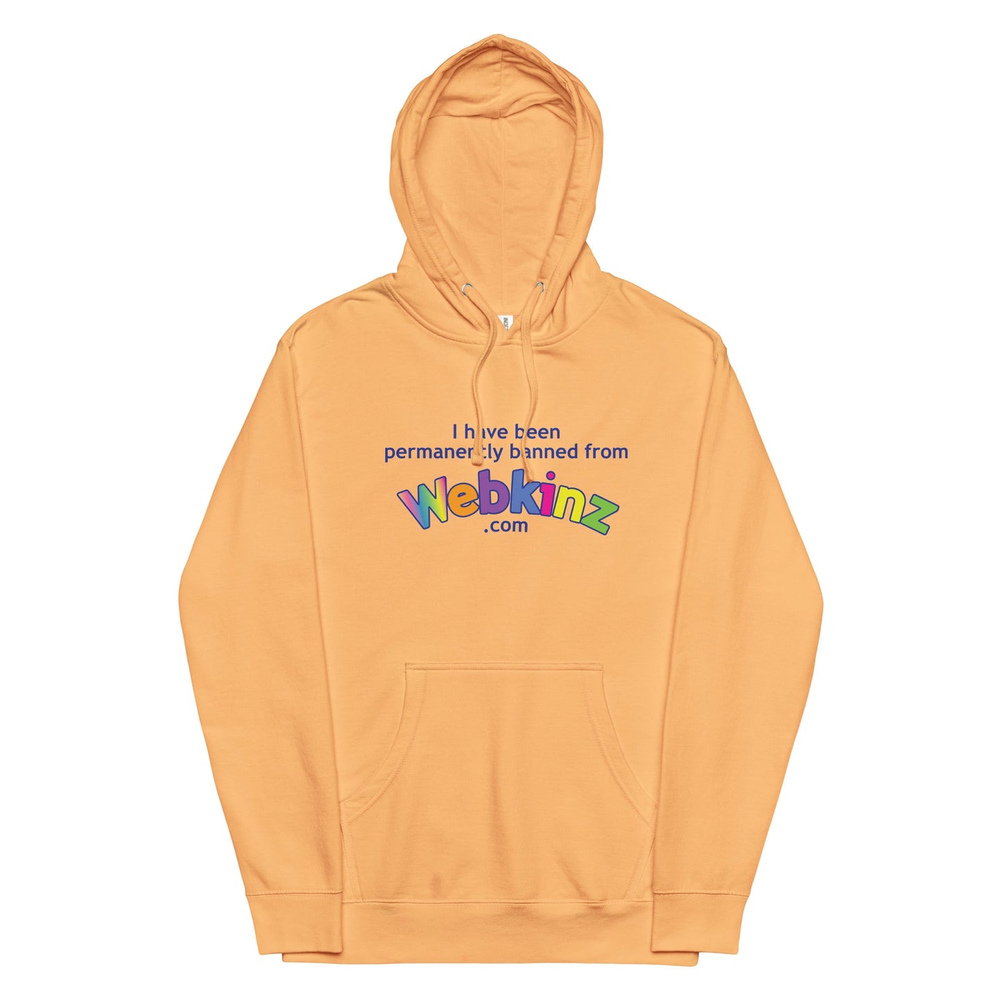 Banned from Webkinz.com Unisex hoodie
