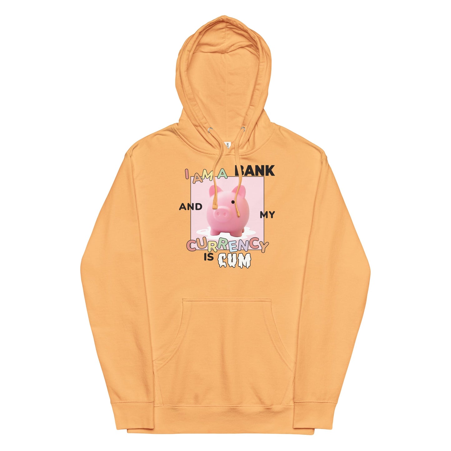 I Am a Bank and My Currency is Cum Unisex hoodie