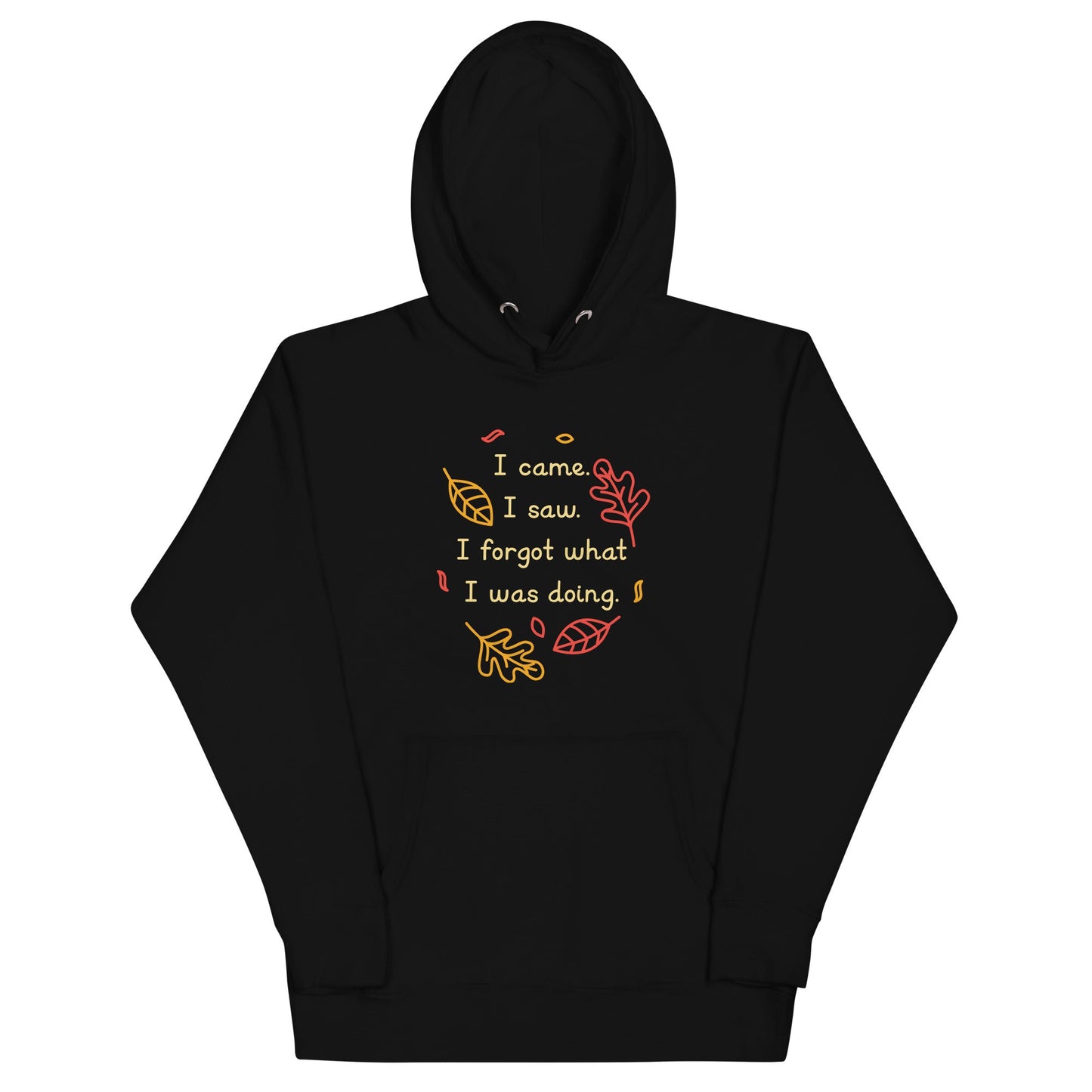 I Came. I Saw. I Forgot What I Was Doing. Unisex Hoodie