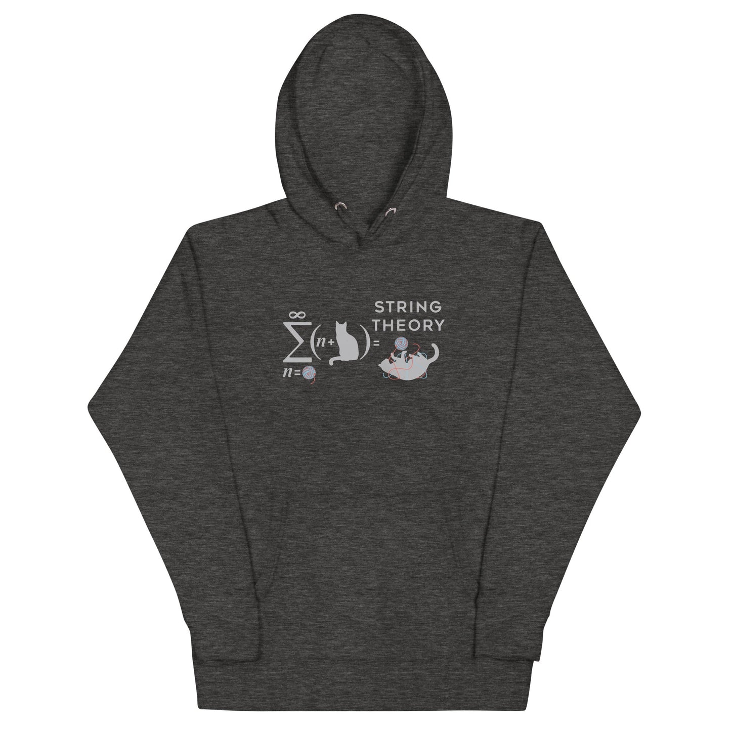 String Theory Unisex Hoodie