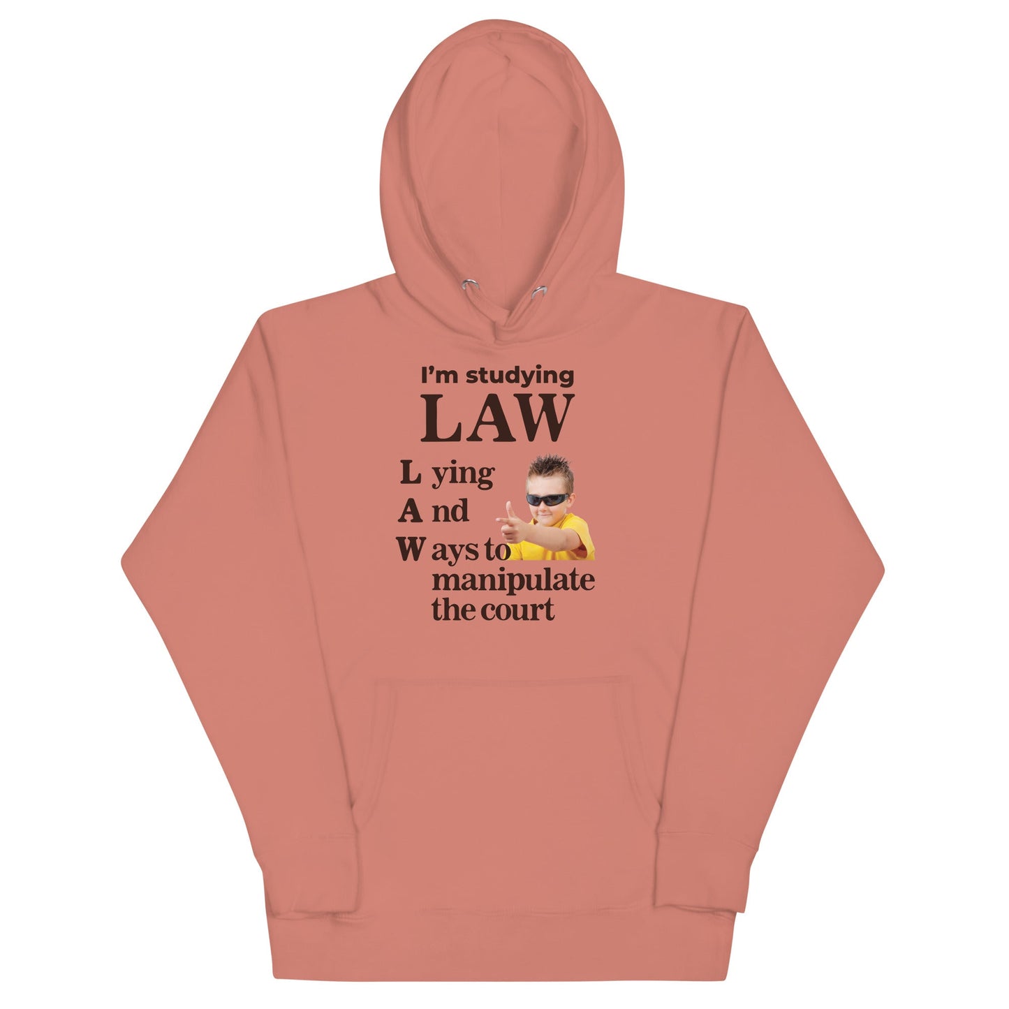 I'm Studying Law Unisex Hoodie