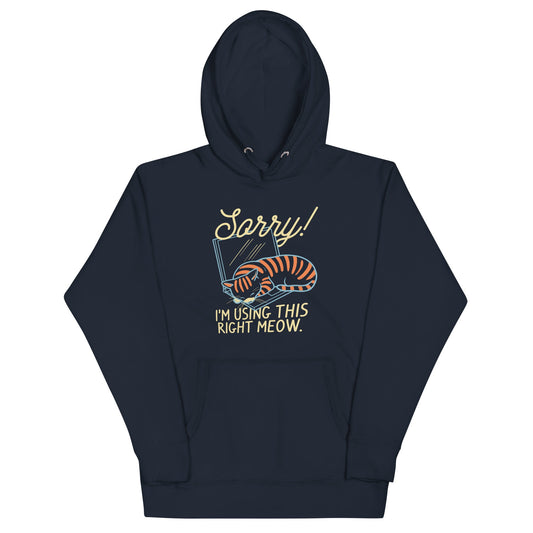 Sorry! I'm Using This Right Meow Unisex Hoodie