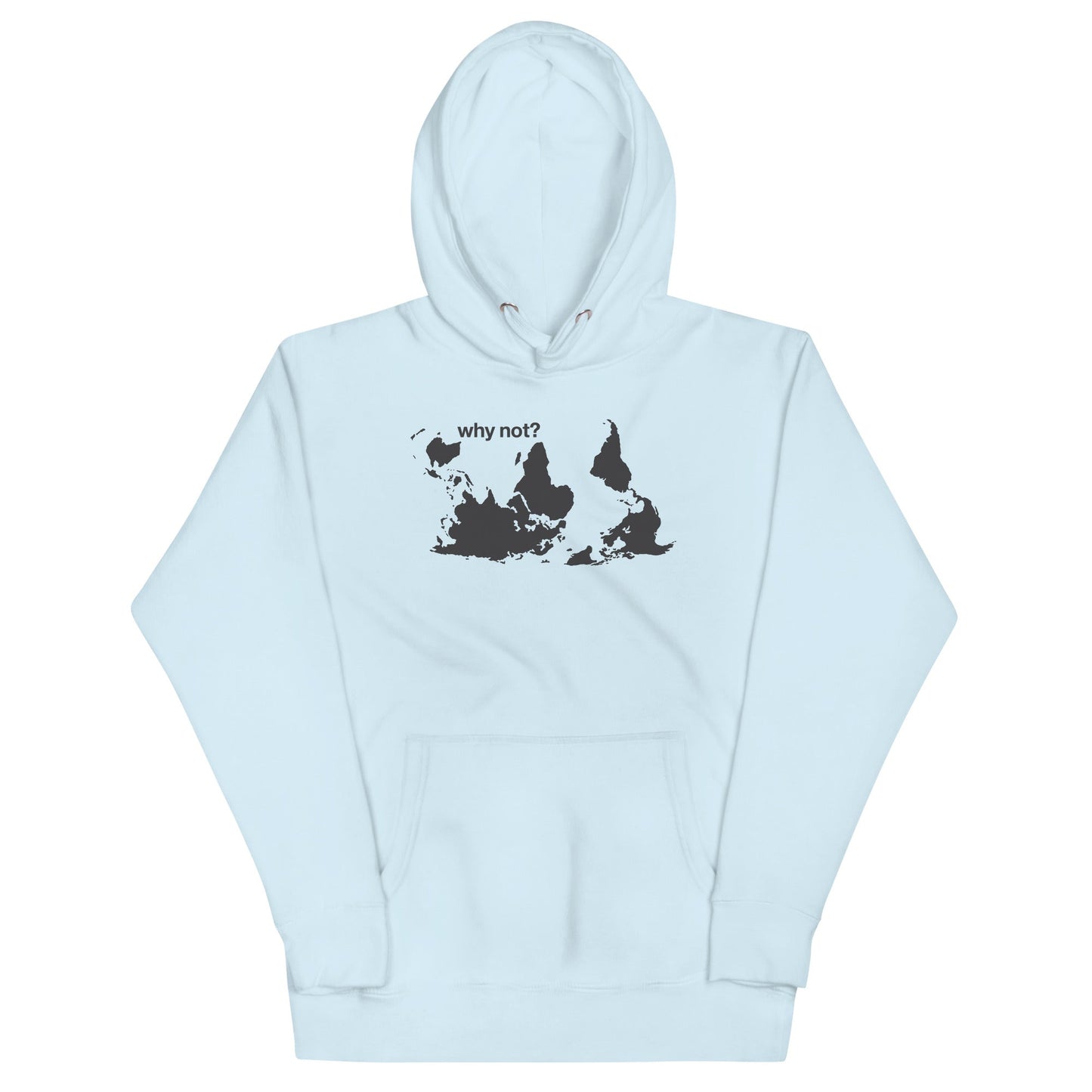Why Not? Unisex Hoodie