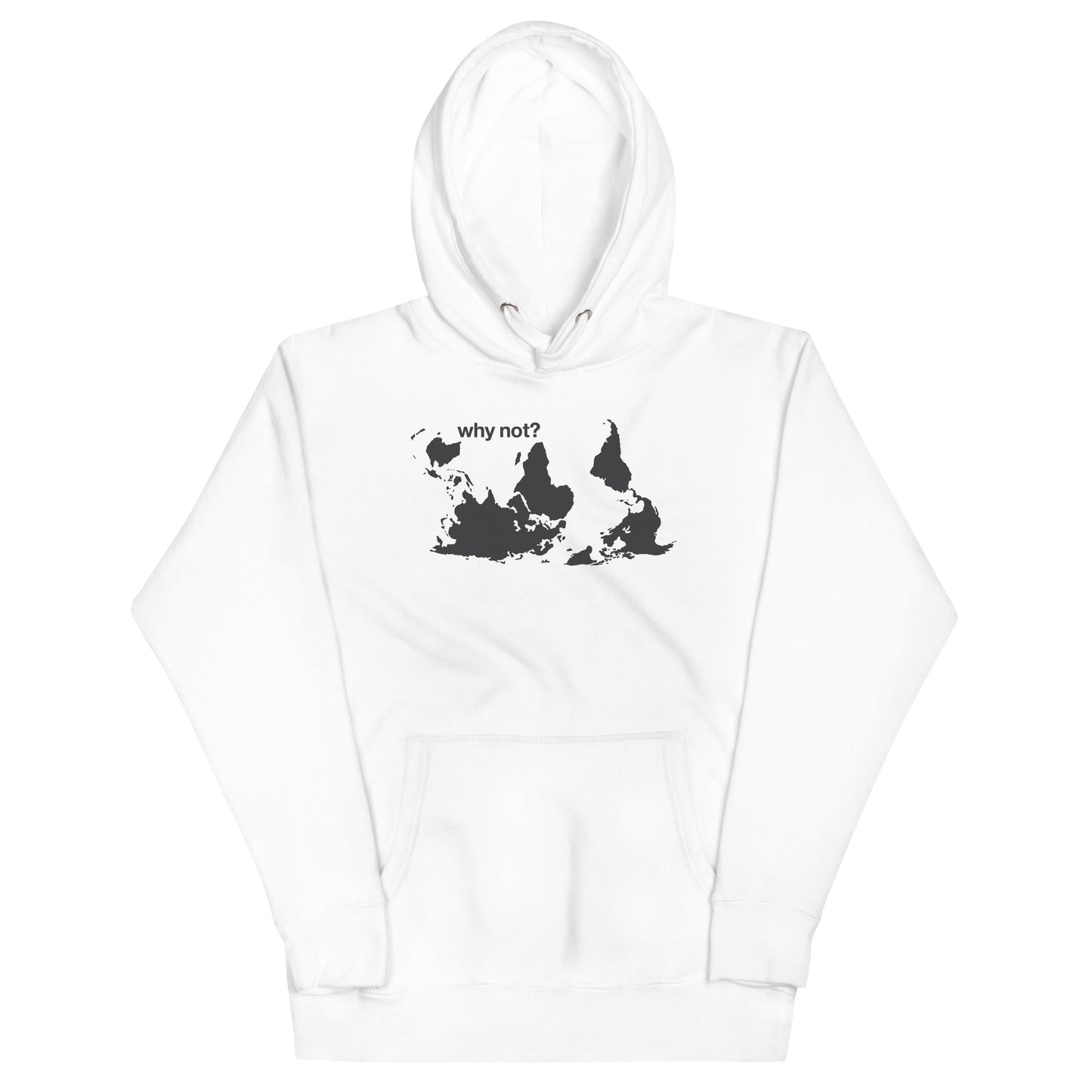 Why Not? Unisex Hoodie