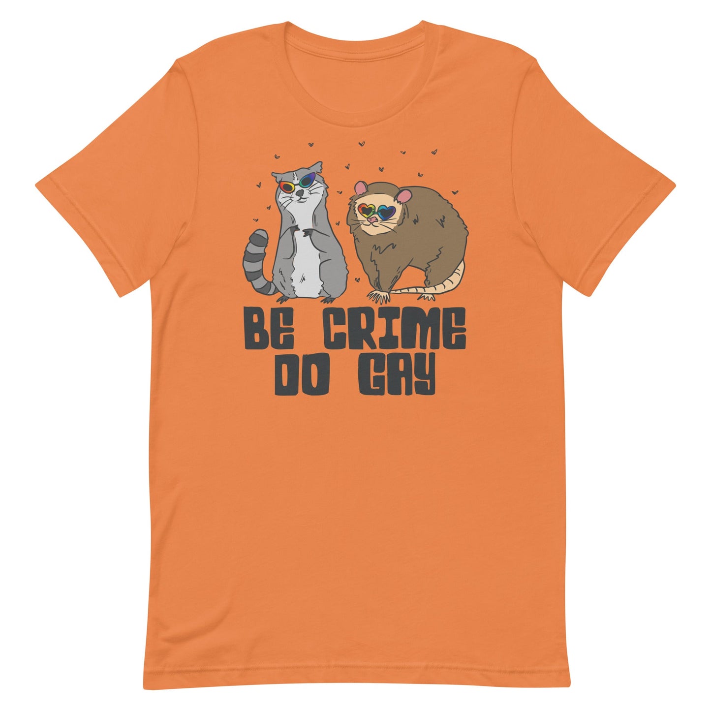 Be Crime Do Gay (Raccoon and Possum) Unisex t-shirt
