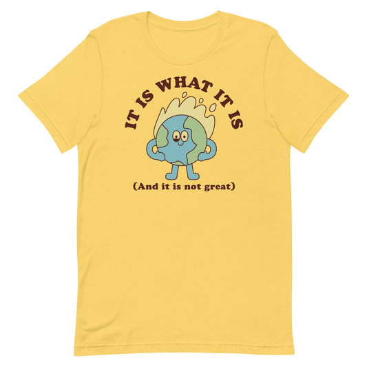 It Is What It Is (And It Is Not Great) Unisex t-shirt