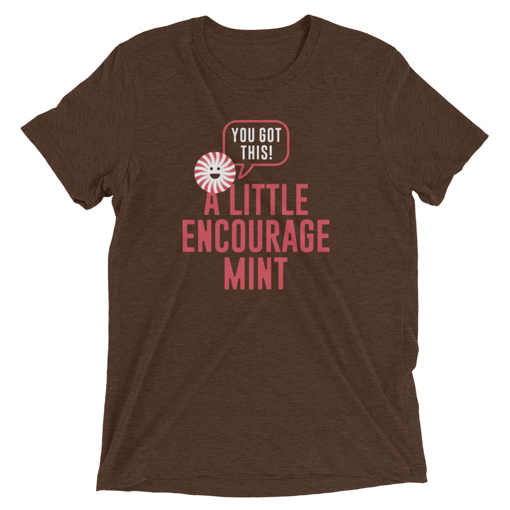 A Little Encourage Mint Men's Tri-Blend Tee