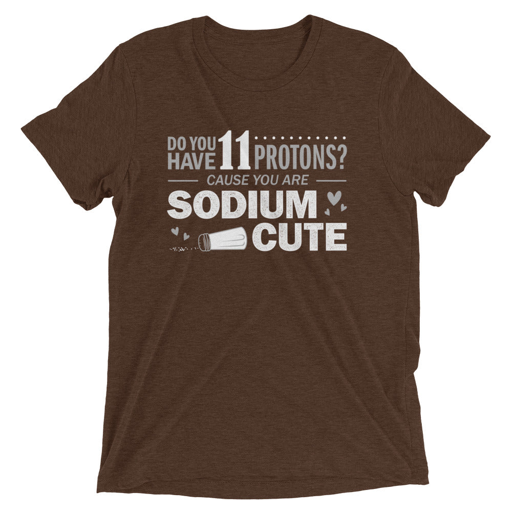 Do You Have 11 Protons? Men's Tri-Blend Tee