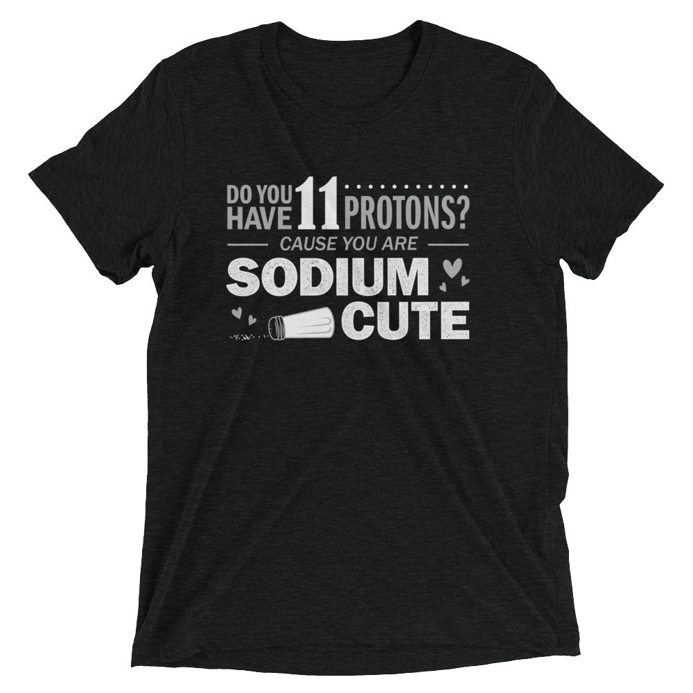 Do You Have 11 Protons? Men's Tri-Blend Tee