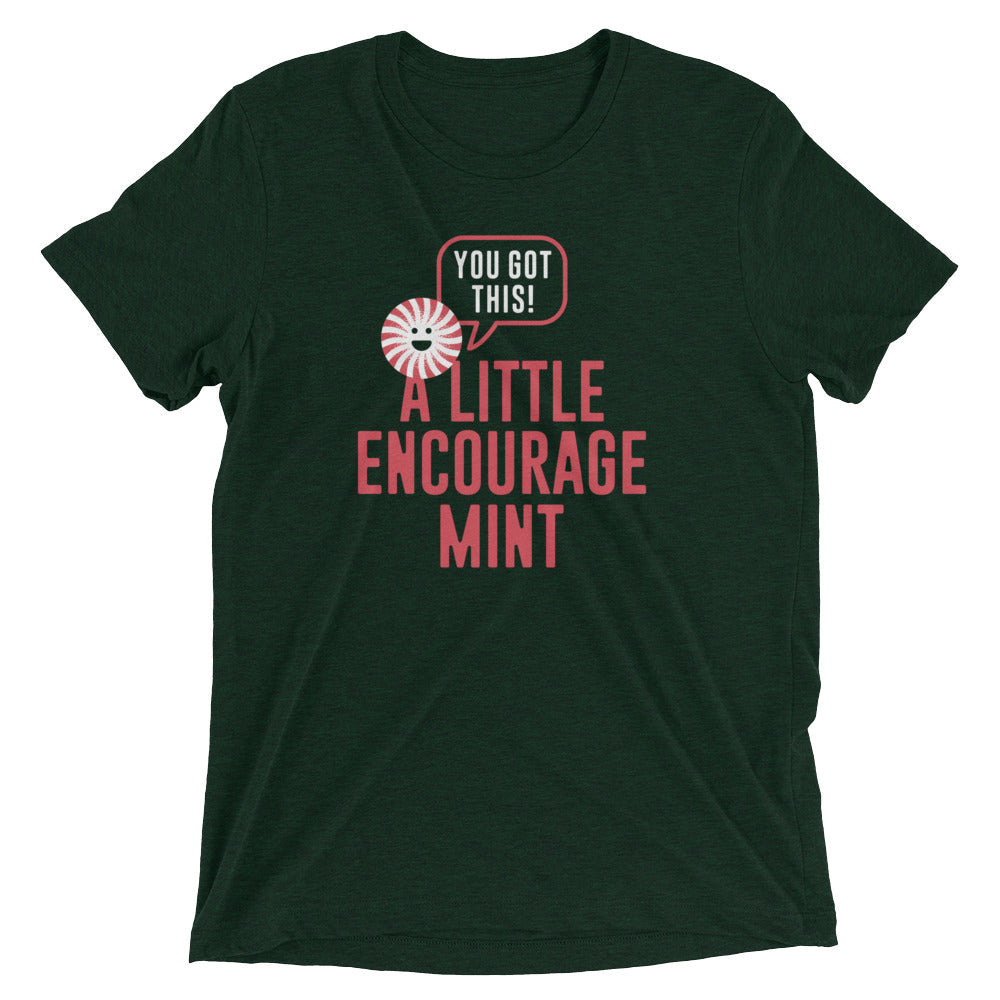 A Little Encourage Mint Men's Tri-Blend Tee
