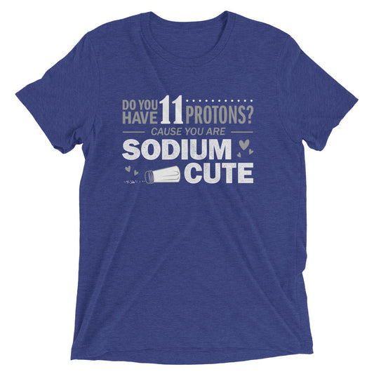 Do You Have 11 Protons? Men's Tri-Blend Tee