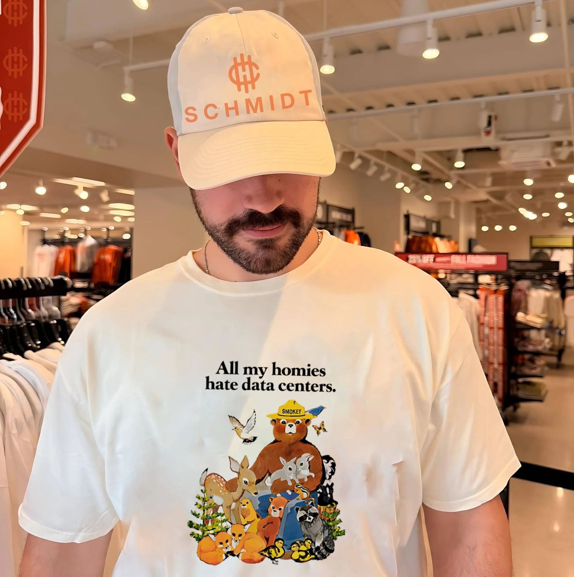 Smokey Bear all my homies hate data centers shirt