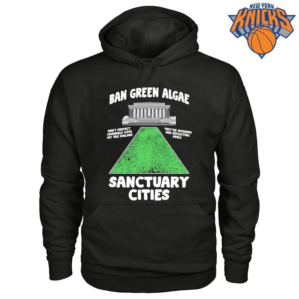 Ban Green Algae Sanctuary Cities Lincoln Memorial Political Satire Parody shirt